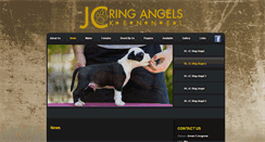 Desktop Screenshot of jcringangels.com